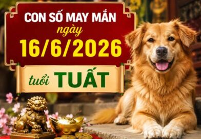 Hé lộ con số may mắn ngày 16/6/2026 tuổi Tuất cực chuẩn Luận giải con số may mắn ngày 16/6/2026 tuổi Tuất theo từng năm sinh