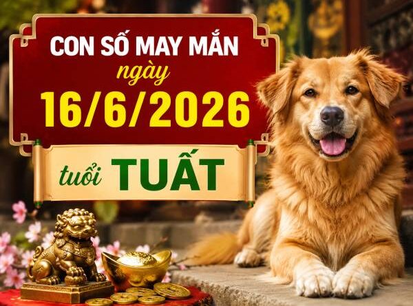 Hé lộ con số may mắn ngày 16/6/2026 tuổi Tuất cực chuẩn Luận giải con số may mắn ngày 16/6/2026 tuổi Tuất theo từng năm sinh