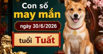 Luận giải những con số may mắn ngày 30/6/2026 tuổi Tuất