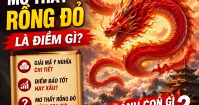Mơ thấy rồng đỏ là điềm gì, gợi ý con số mang tài lộc