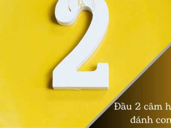 Đầu 2 câm nên đánh con gì? Thống kê và gợi ý cặp số may mắn