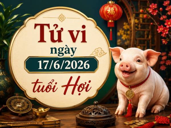 Tổng quan tử vi tuổi Hợi ngày 17/6/2026 có gì đặc biệt?